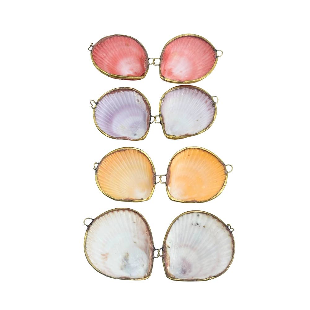 Nobble Scallop Coin Purse