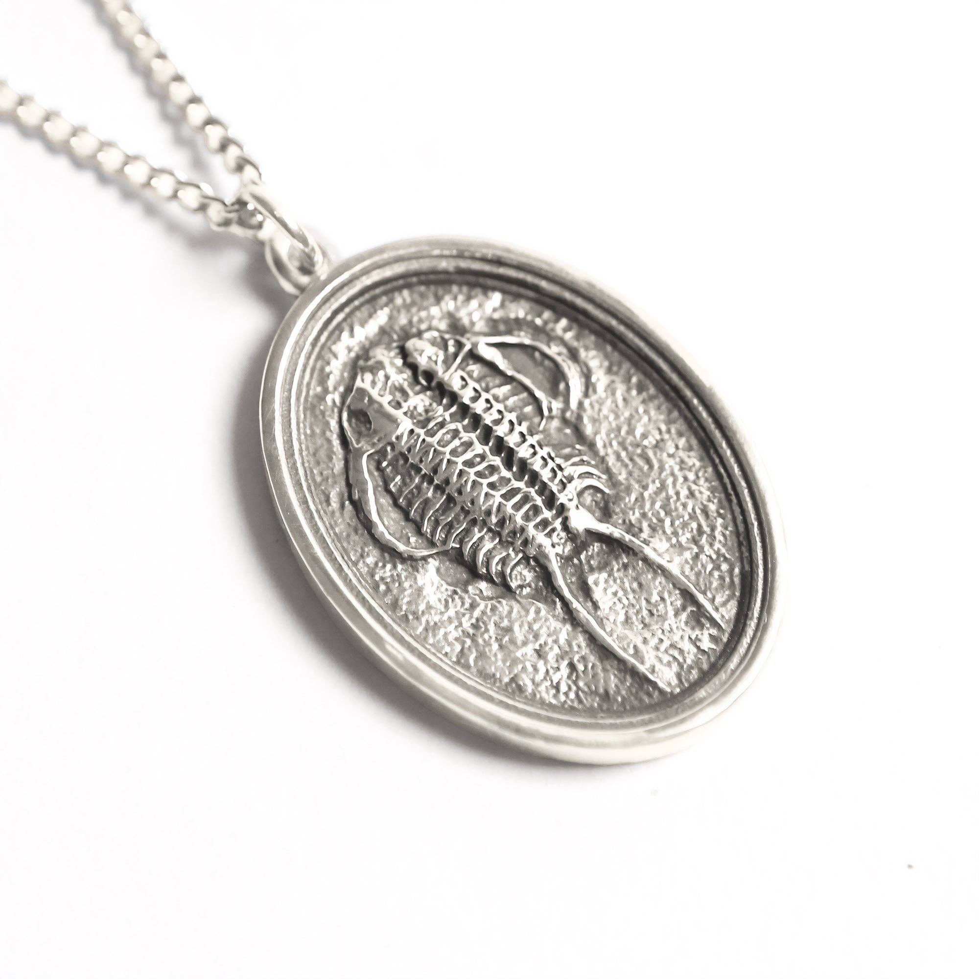 Fossil Trilobite: None / Yellow Bronze