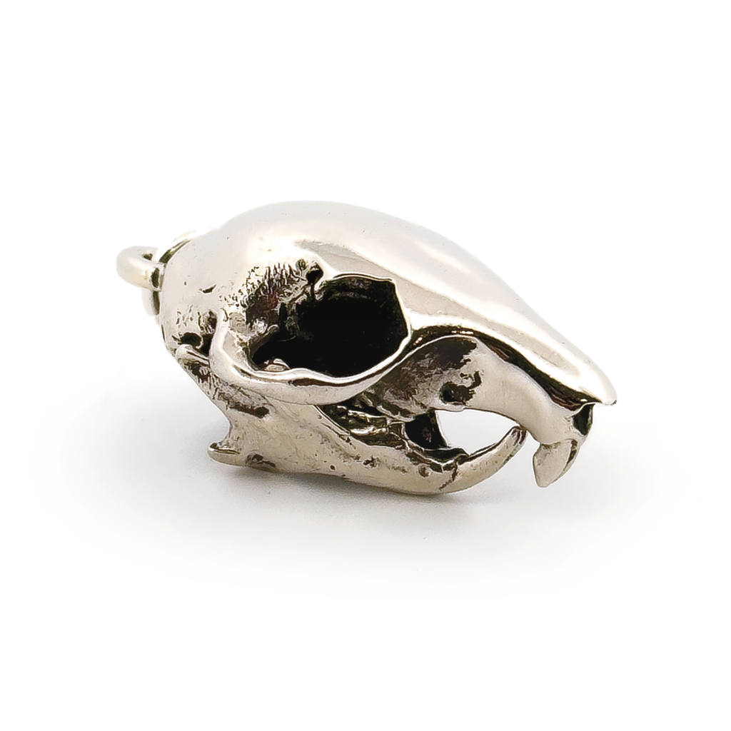 Gray Squirrel: None / White Bronze