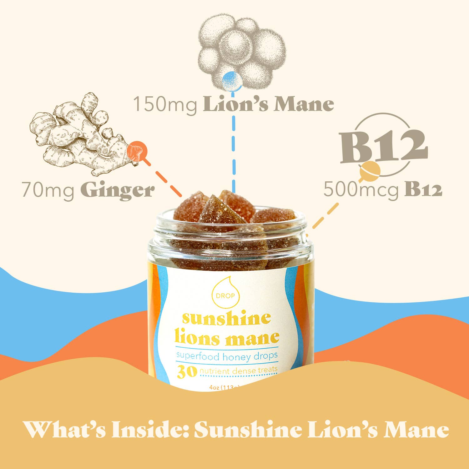 Sunshine Lion's Mane | Mushroom Honey Gummy | Energy & Focus: 30 Count Jar (Standard Retail)