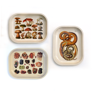 Tan Mushroom Trinket Tray