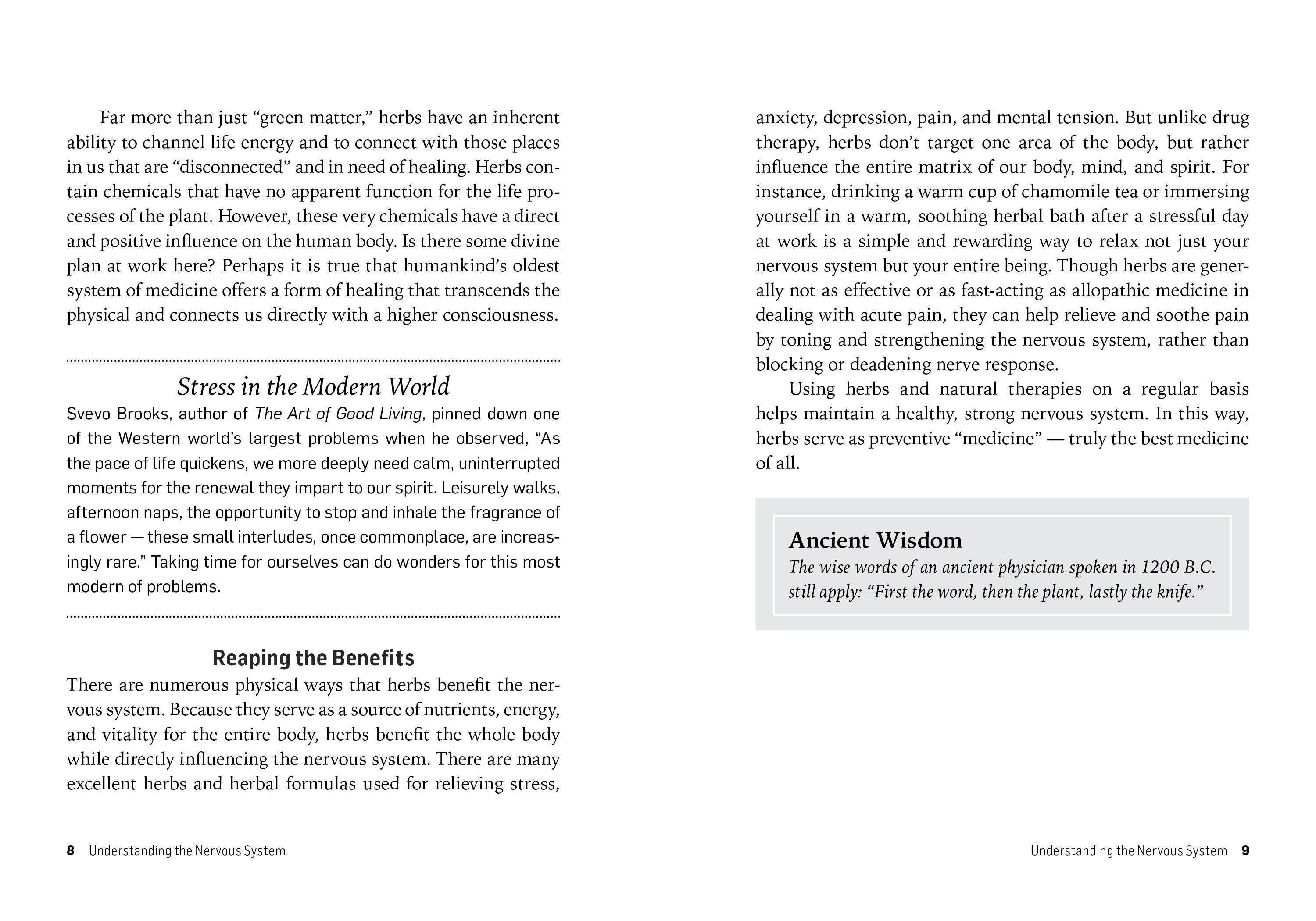 Herbs For Stress & Anxiety