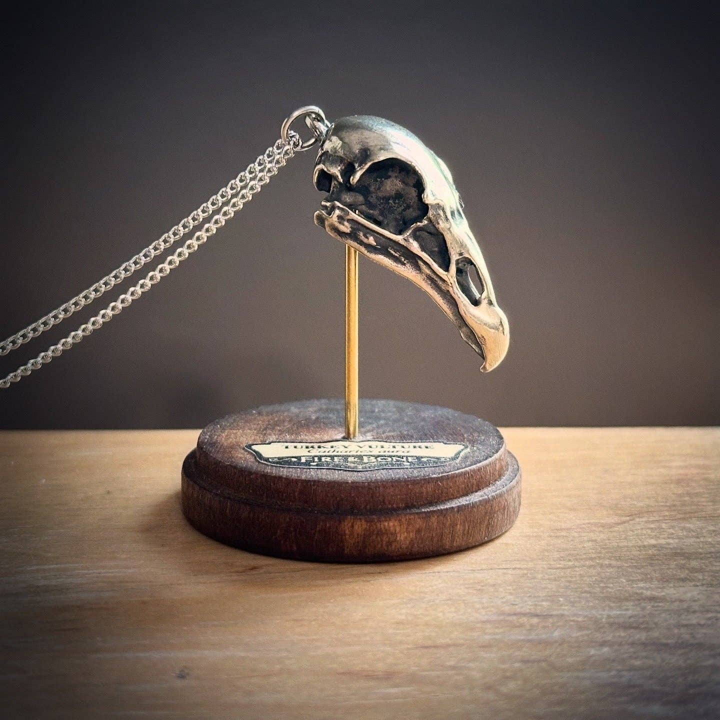 Turkey Vulture: None / White Bronze