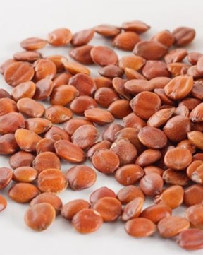 Spine Dates Seeds