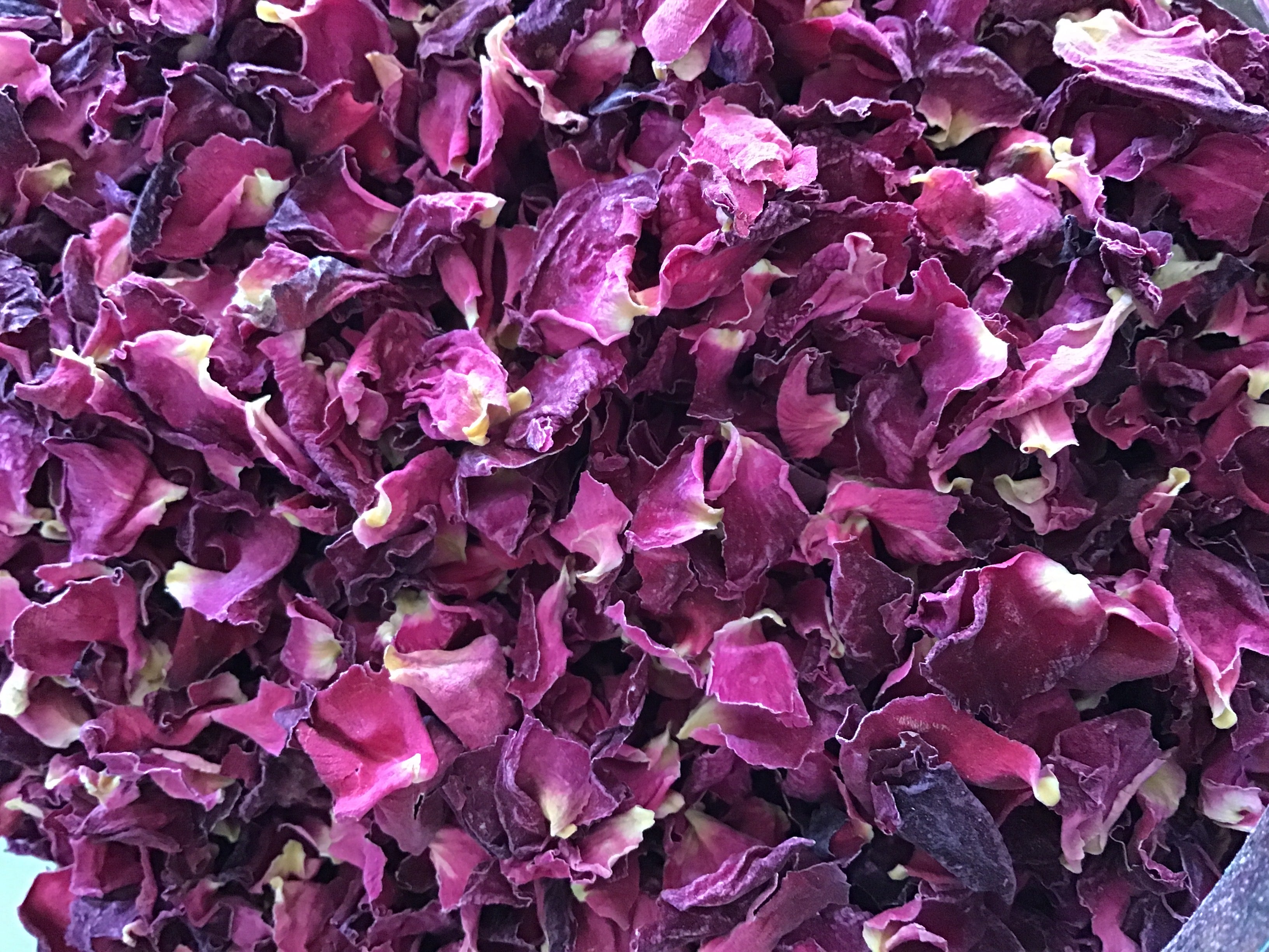 Rose Petals