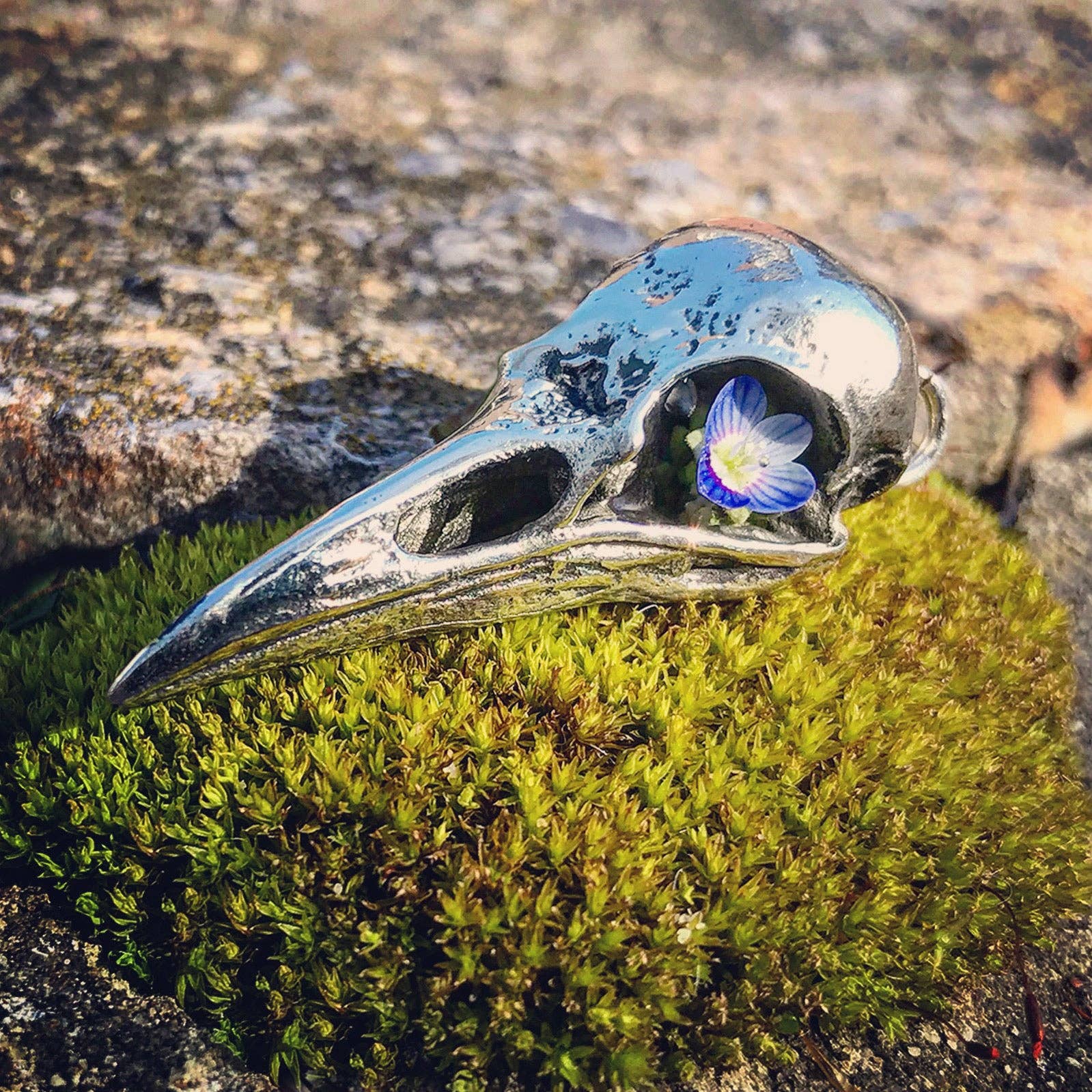 Crow: None / Sterling Silver