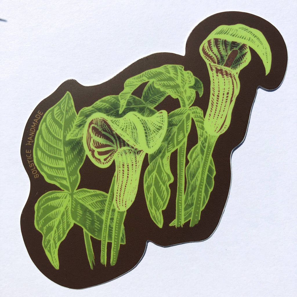 Jack-in-the-Pulpit Sticker