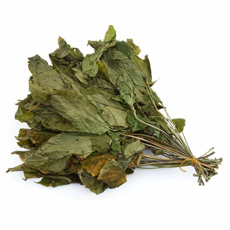 Ginseng Leaf