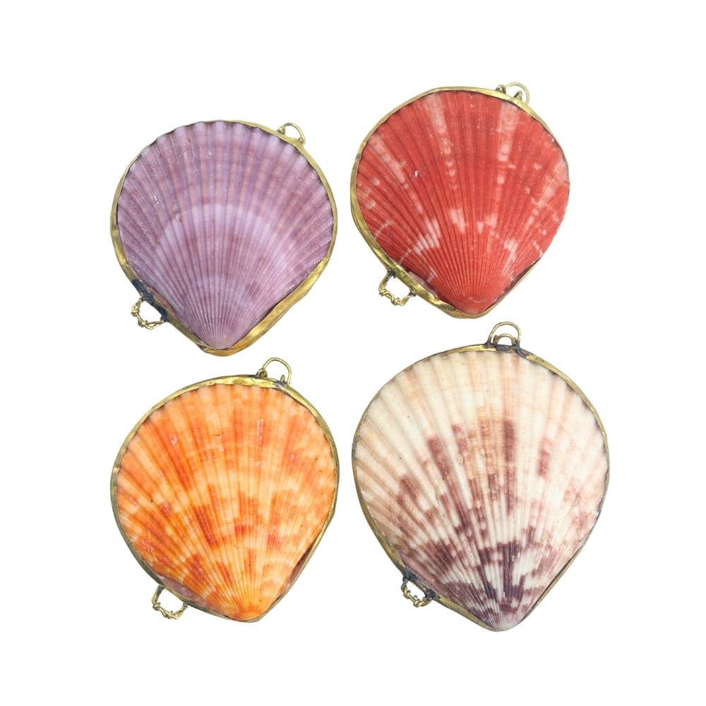 Nobble Scallop Coin Purse