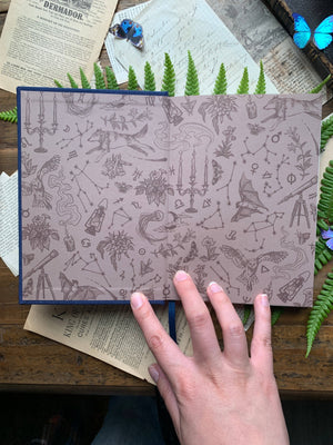 The Astronomer Journal