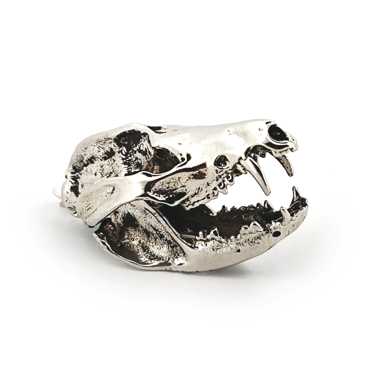 Opossum: None / White Bronze