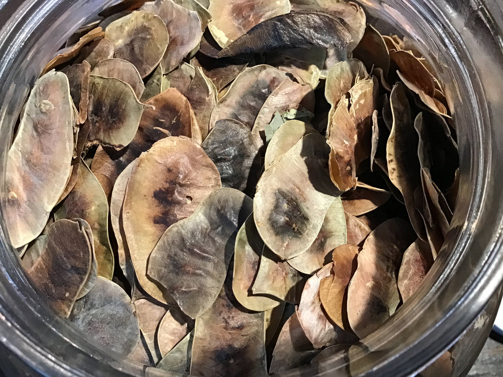 Senna Pods