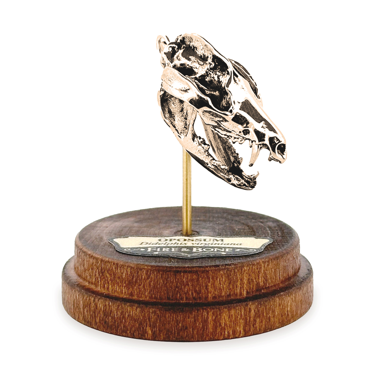 Opossum: None / White Bronze