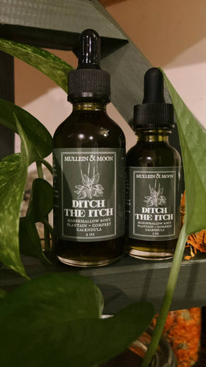 Ditch the Itch herbal salve: 1 oz
