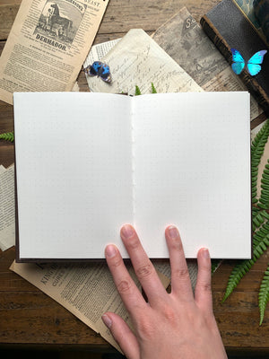 The Wanderer Journal