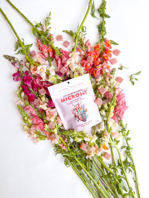 Elevate Mushroom Gummies (30) / Vegan Supplement / Mood