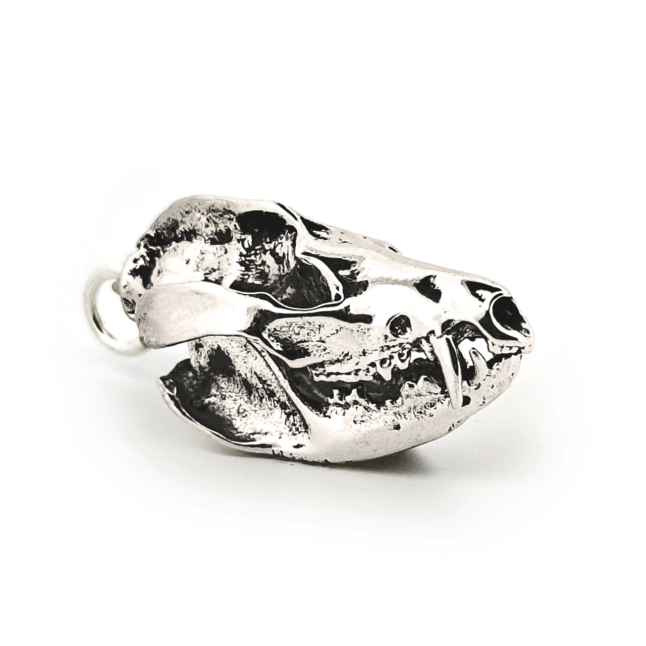 Opossum: None / White Bronze