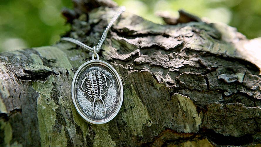 Fossil Trilobite: None / Yellow Bronze