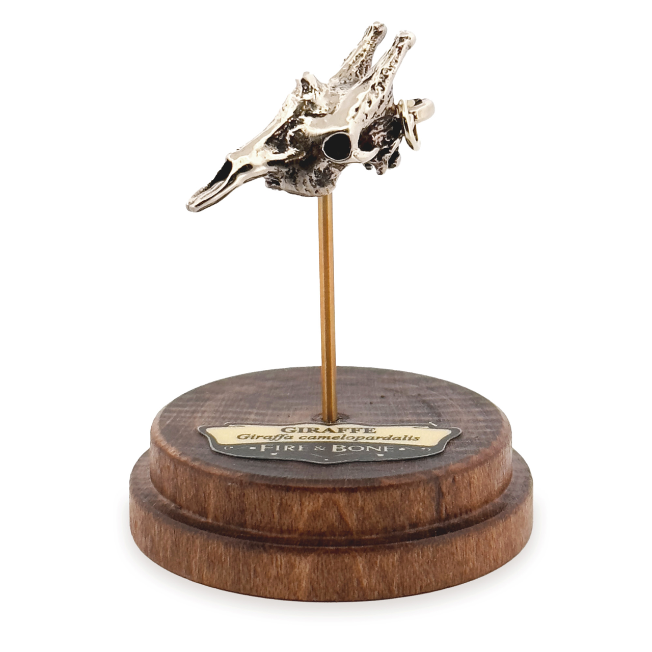 Giraffe: None / White Bronze