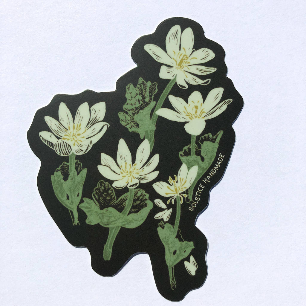 Bloodroot Sticker