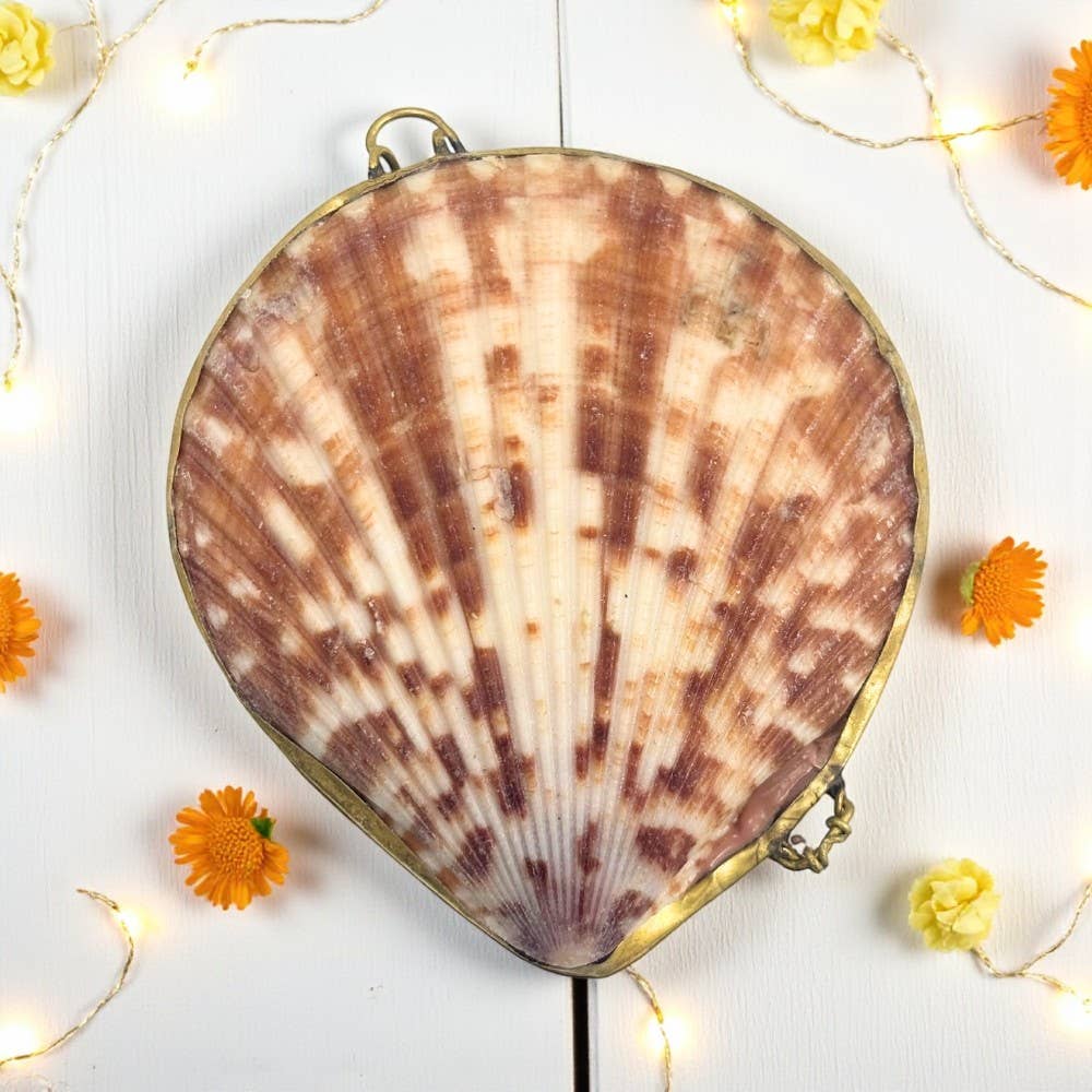 Nobble Scallop Coin Purse