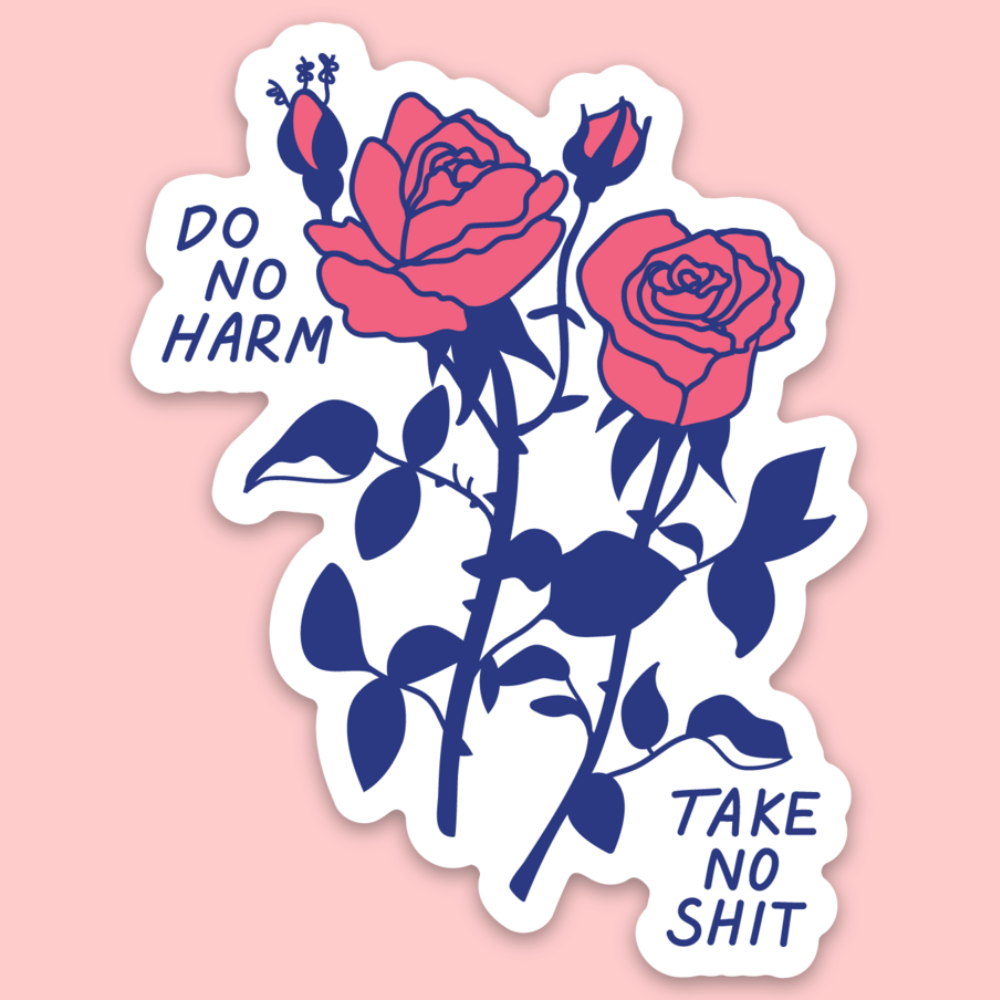 Take No Shit Sticker