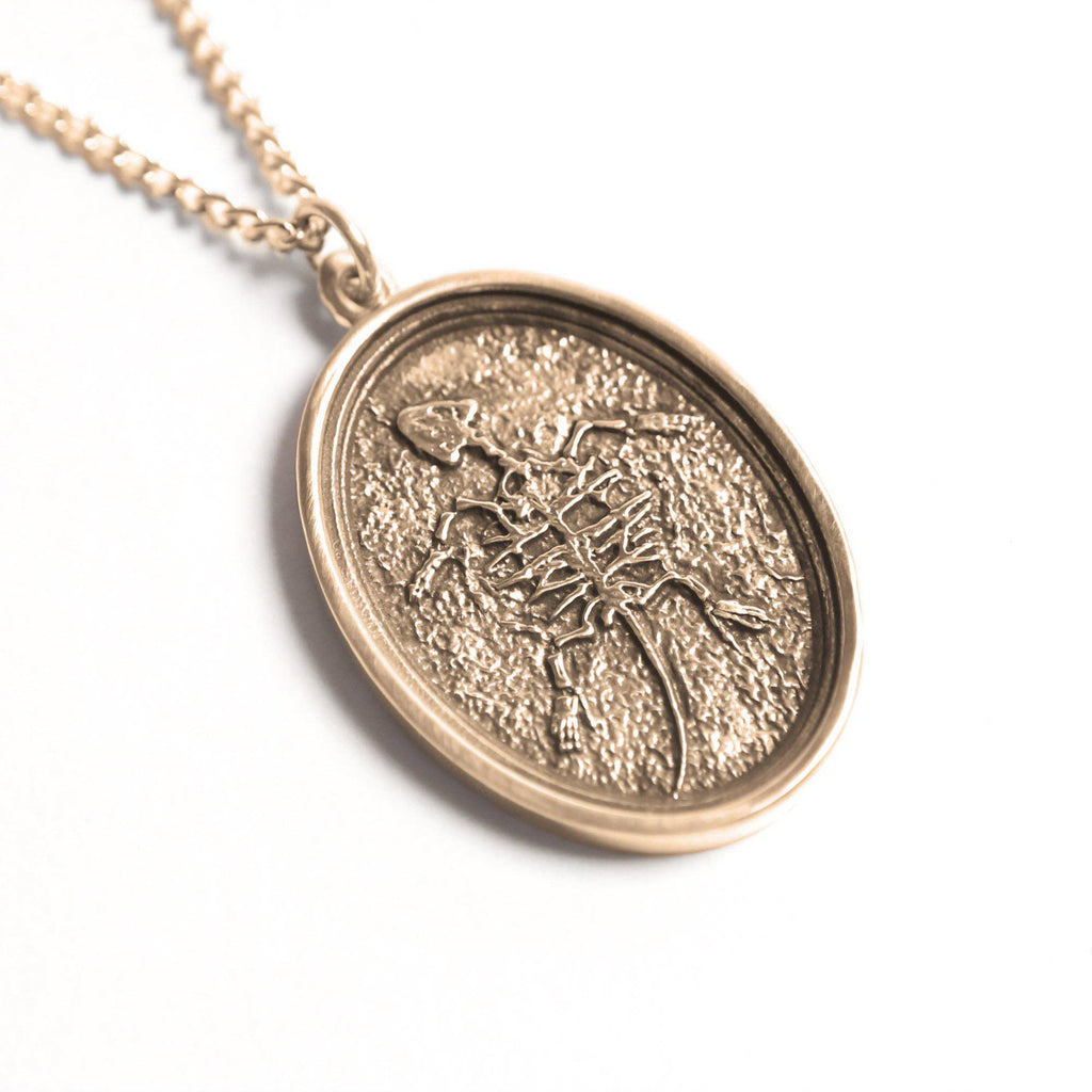 Fossil Turtle: None / Yellow Bronze