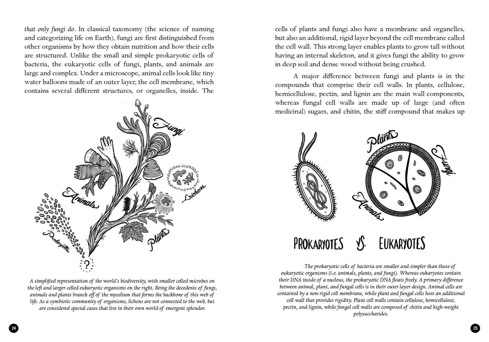 Mycocultural Revolution: Transforming Our World with Fungi