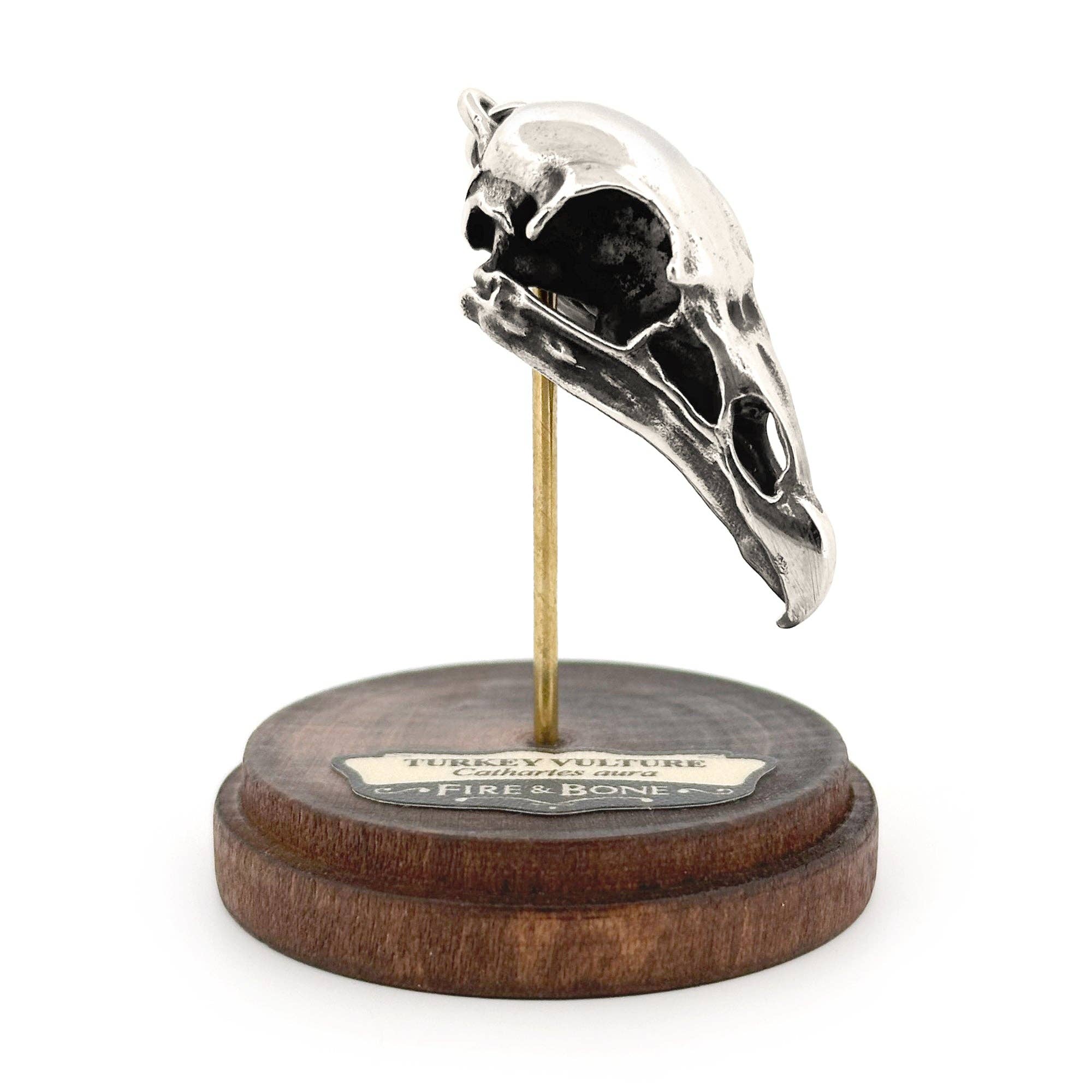 Turkey Vulture: None / White Bronze