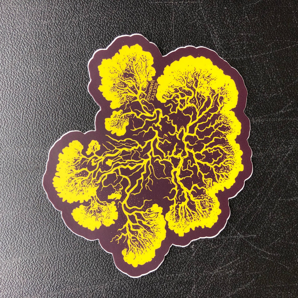 Physarum Slime Mold Sticker