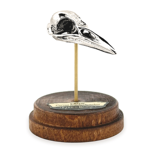 Crow: None / Sterling Silver