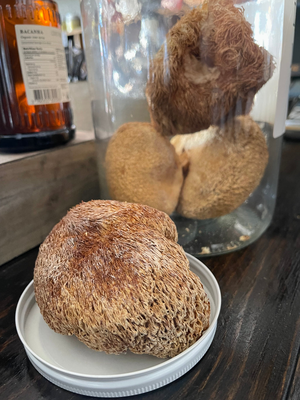 Lion’s Mane Mushroom