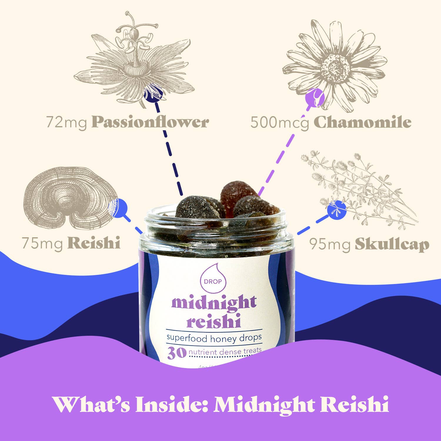 Midnight Reishi | Mushroom Honey Gummy | Sleep & Relaxation: 5 Count Pouch (Grab & Go Sample)