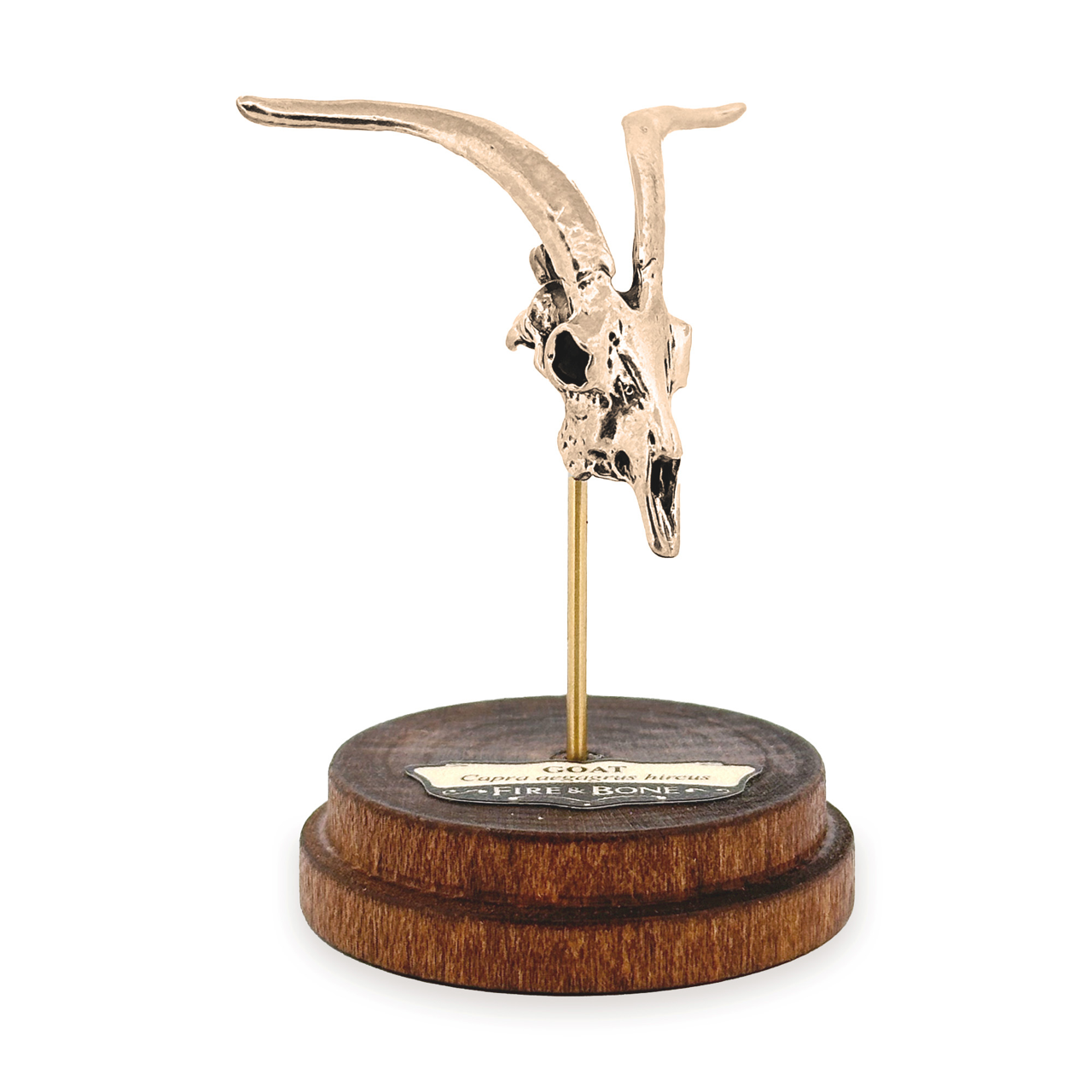 Goat: None / Yellow Bronze