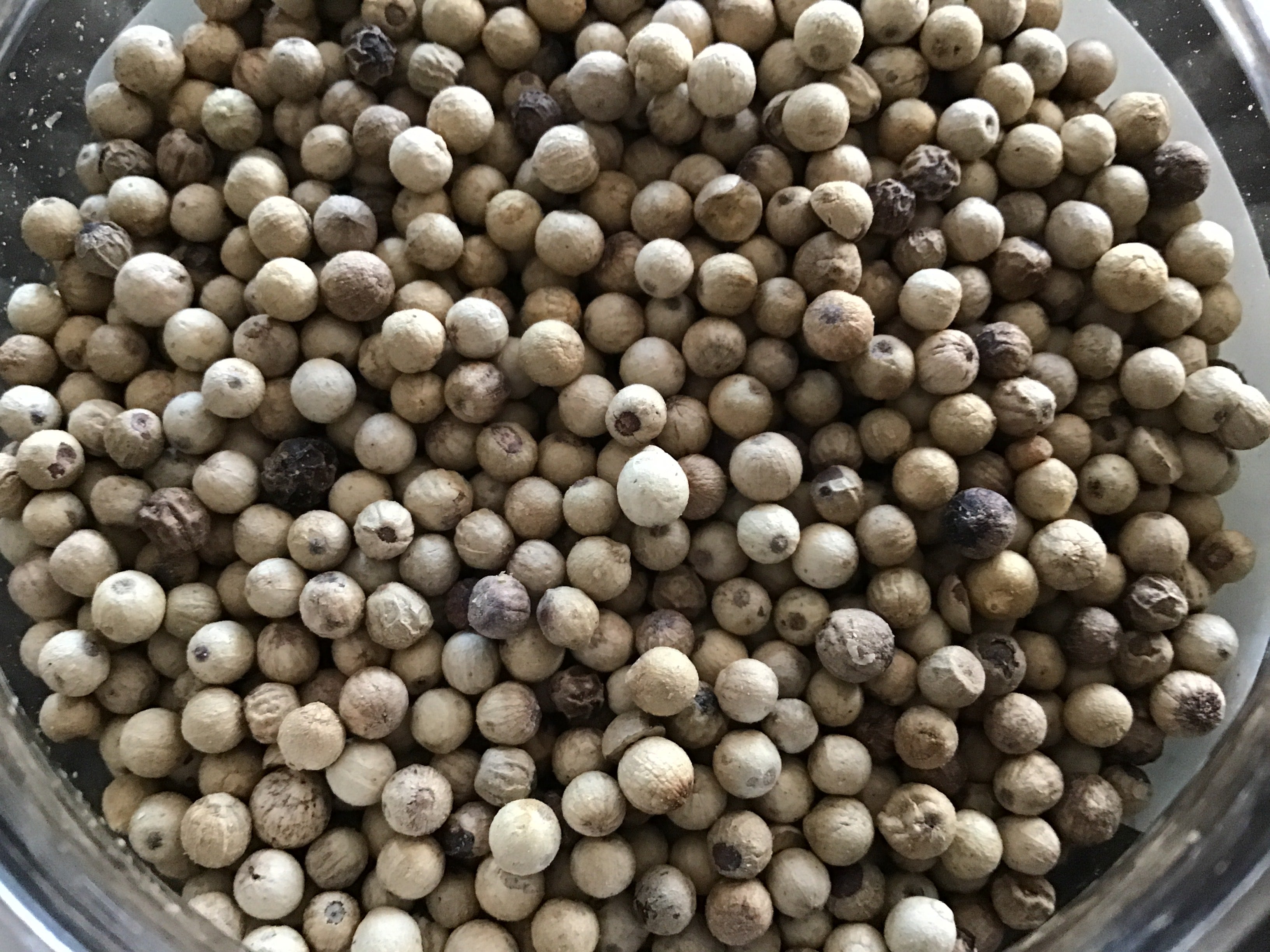 White Peppercorns