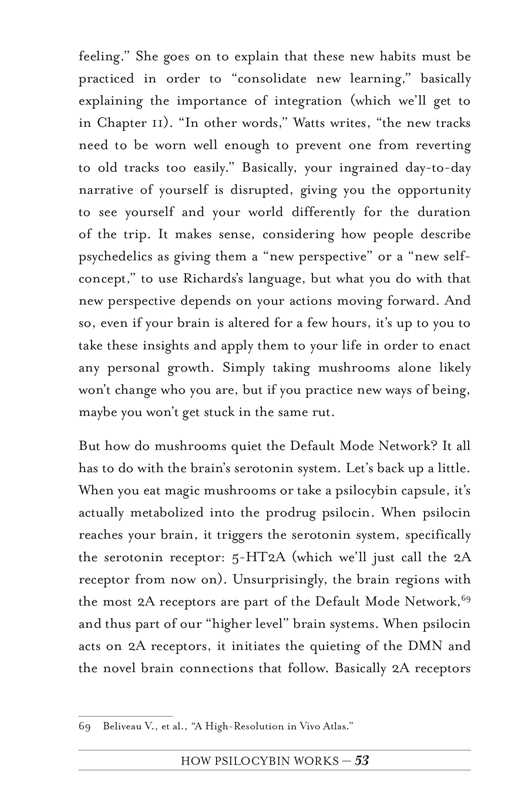 Your Psilocybin Mushroom Companion by Michelle Janikian