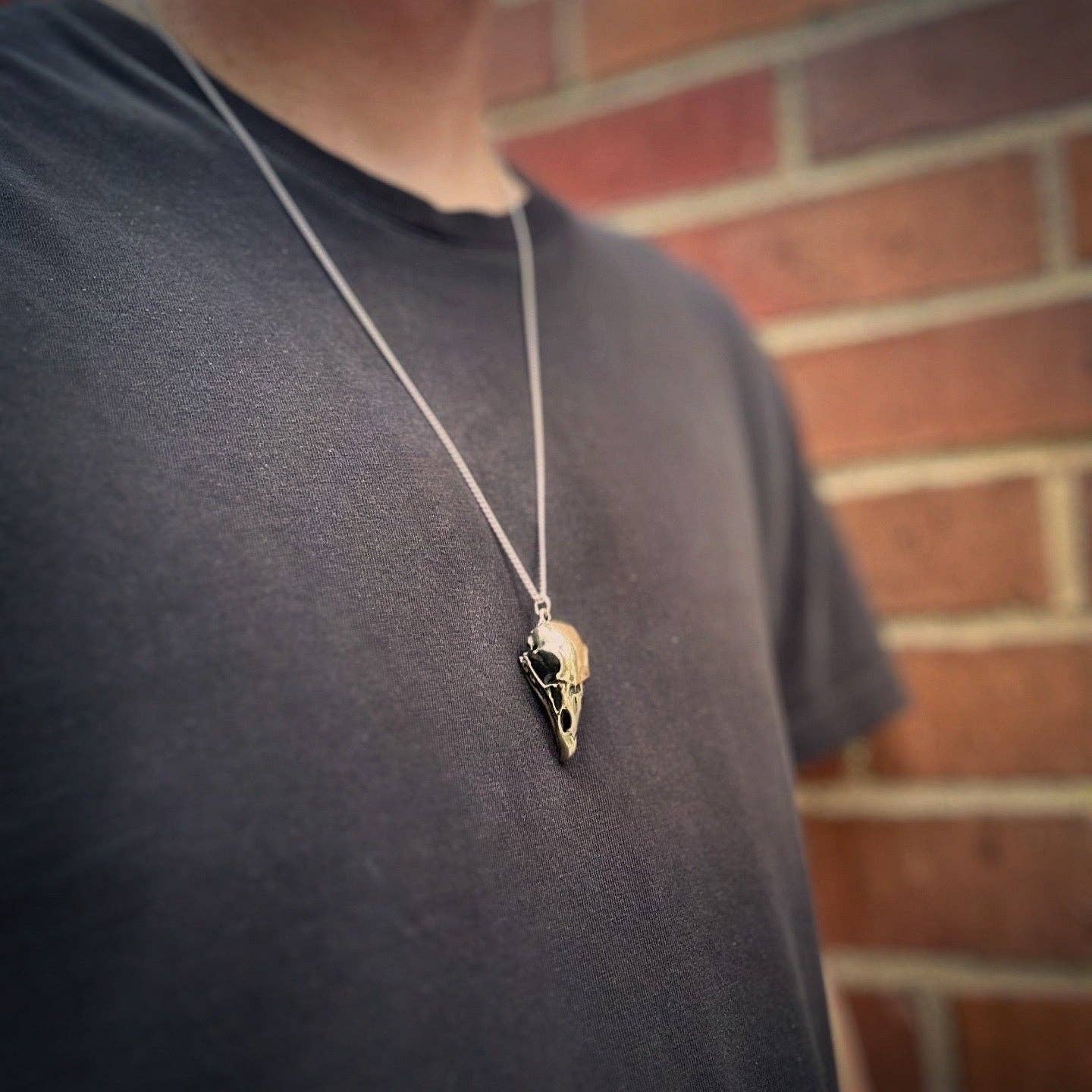 Turkey Vulture: None / White Bronze