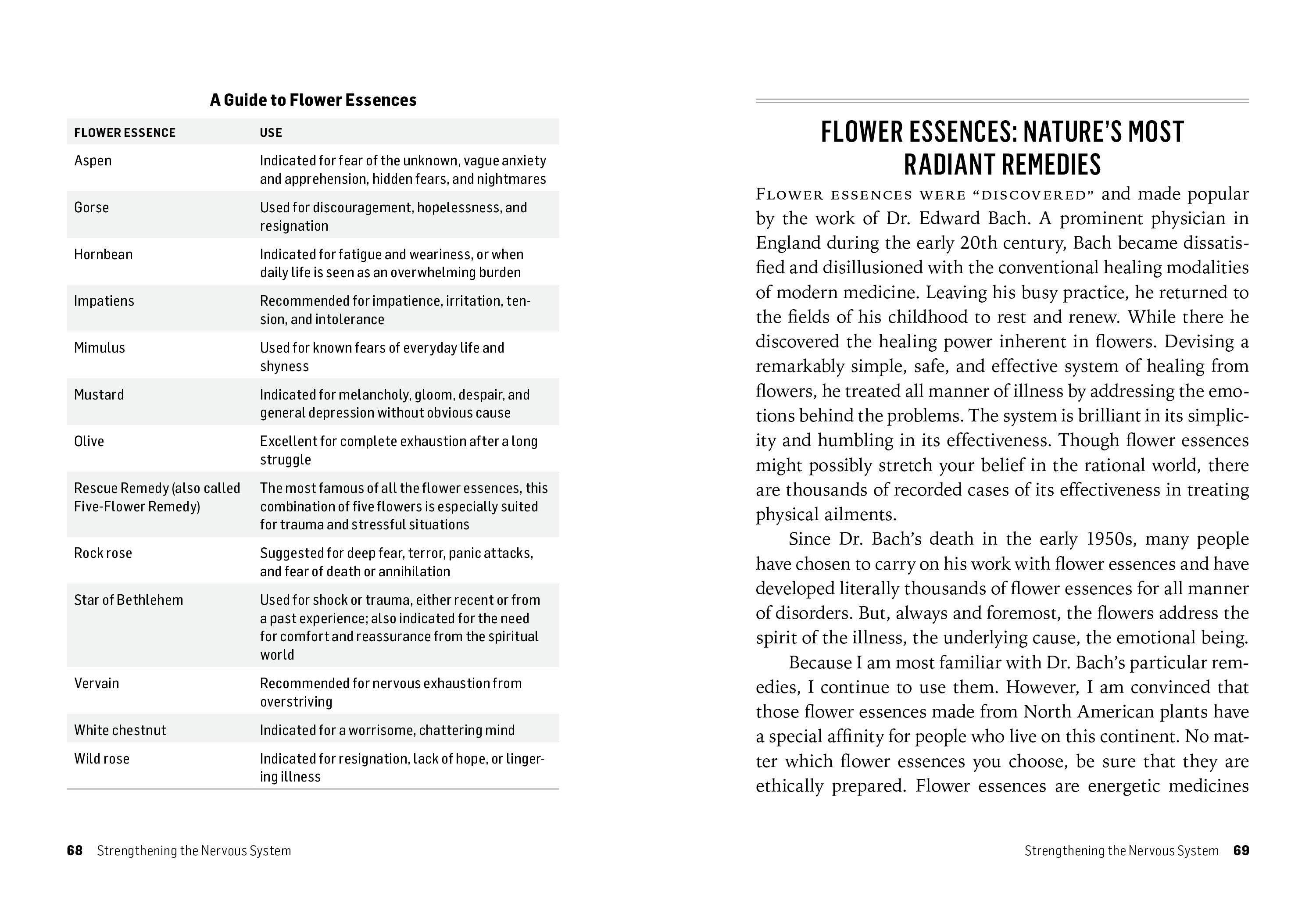 Herbs For Stress & Anxiety