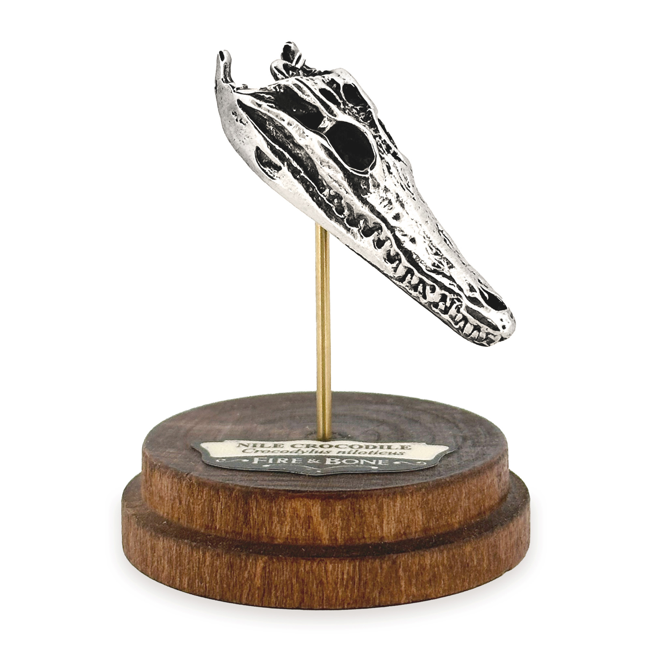 Nile Crocodile: None / Yellow Bronze