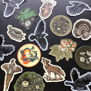 Moonflower Sticker