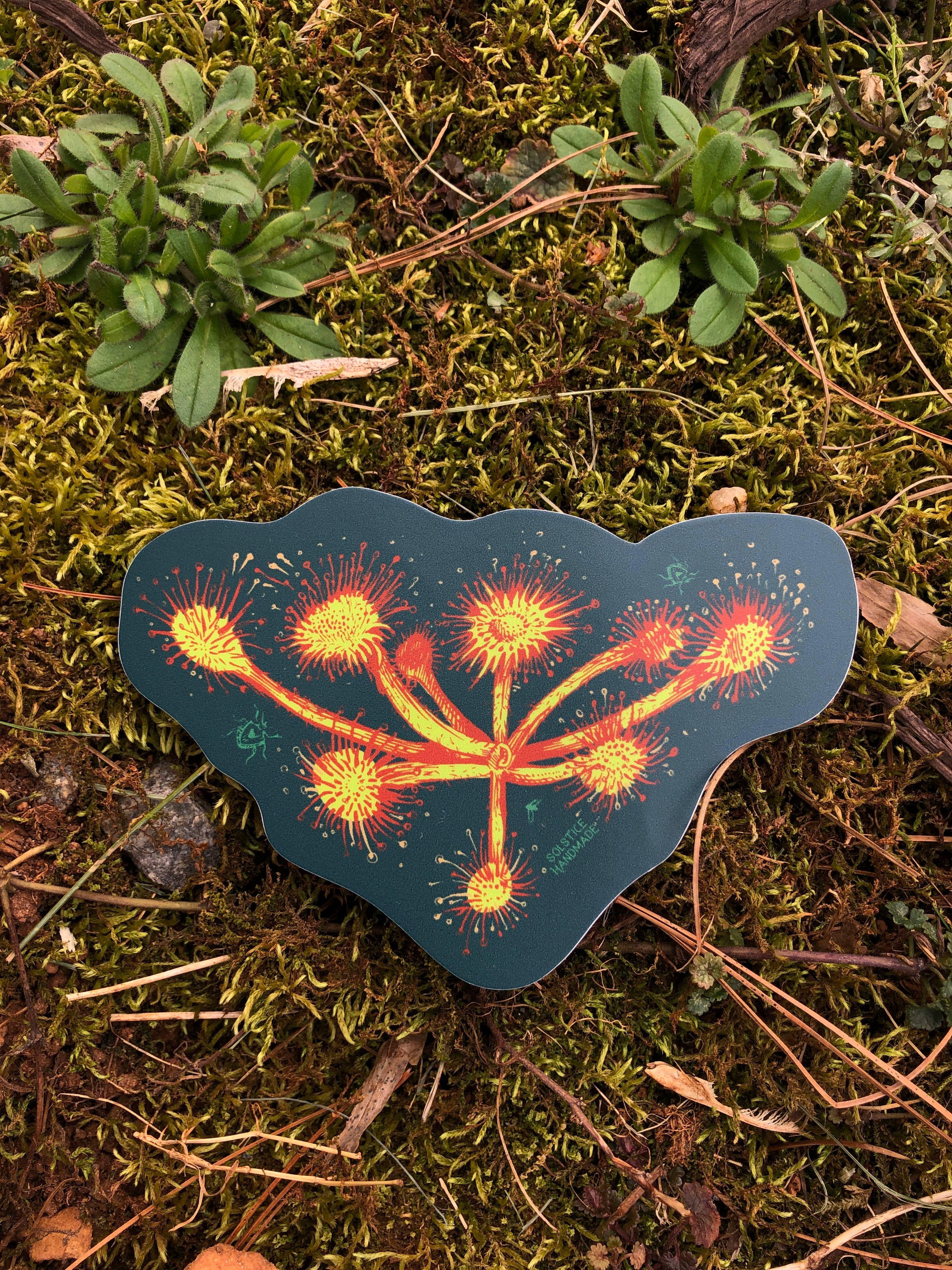 Sundew Sticker