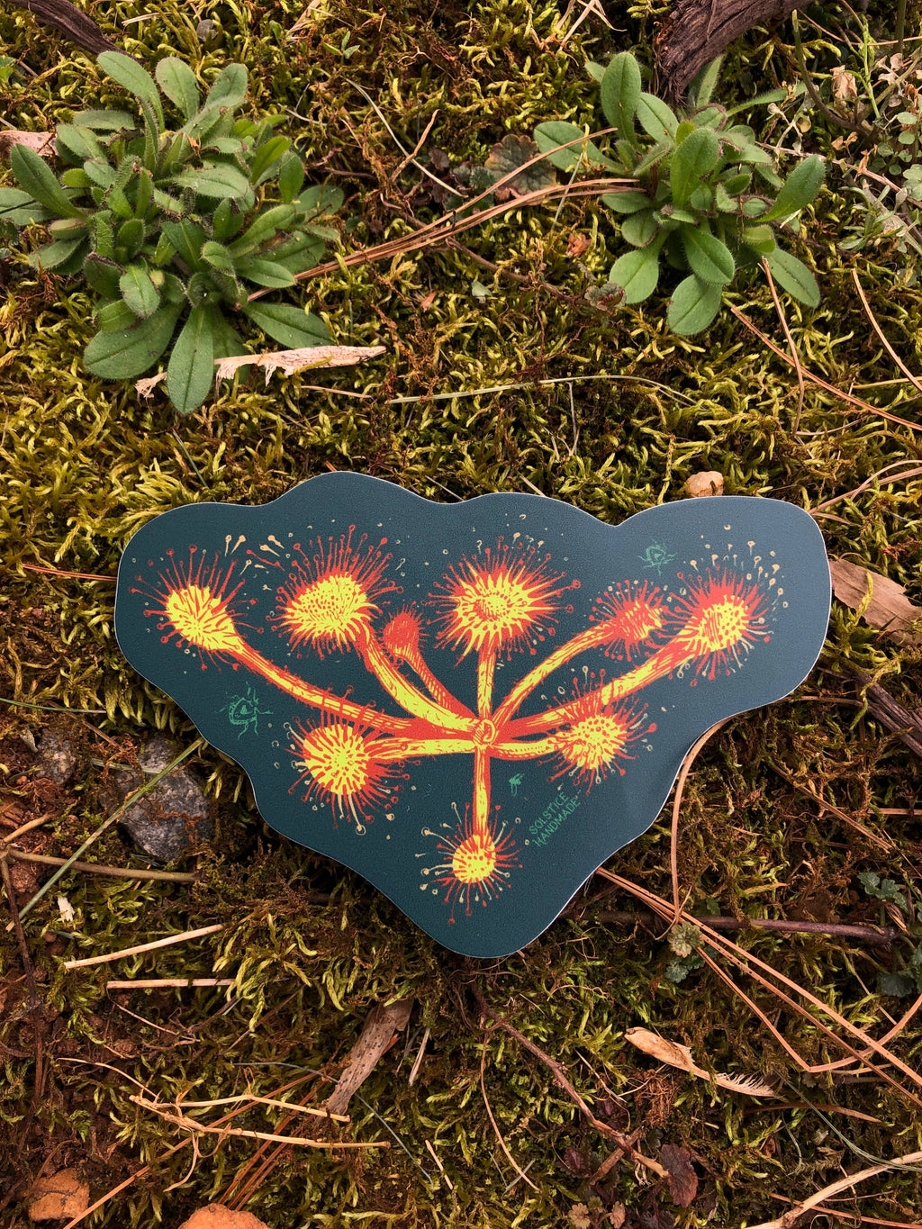 Sundew Sticker