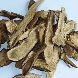 Costus Root