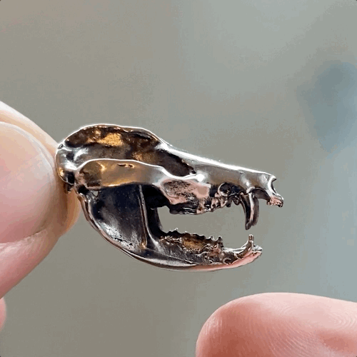 Opossum: None / White Bronze