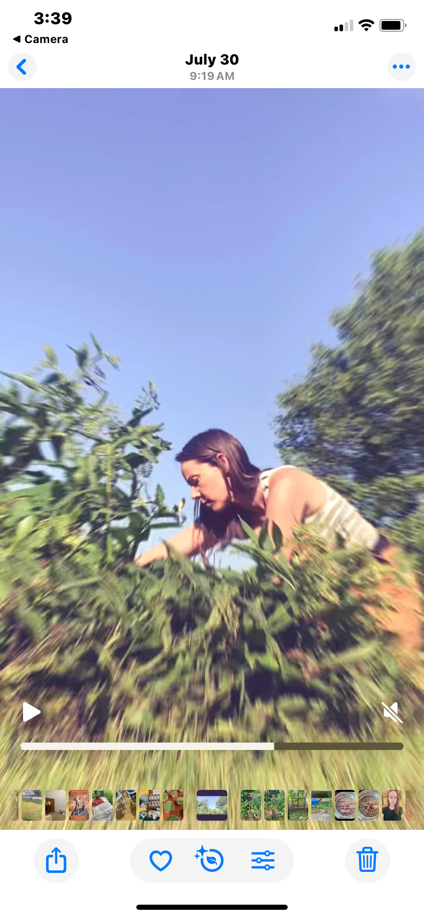 Muscle & Joint warming herbal salve: 1 oz