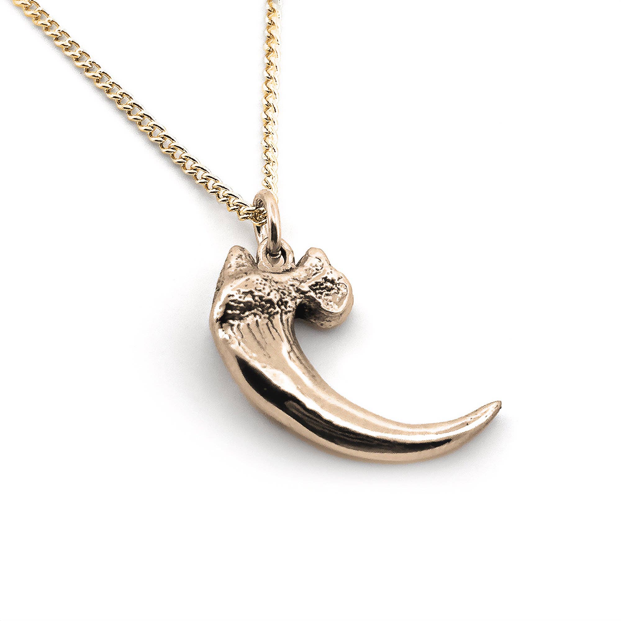 Golden Eagle Talon Pendant: Yellow Bronze