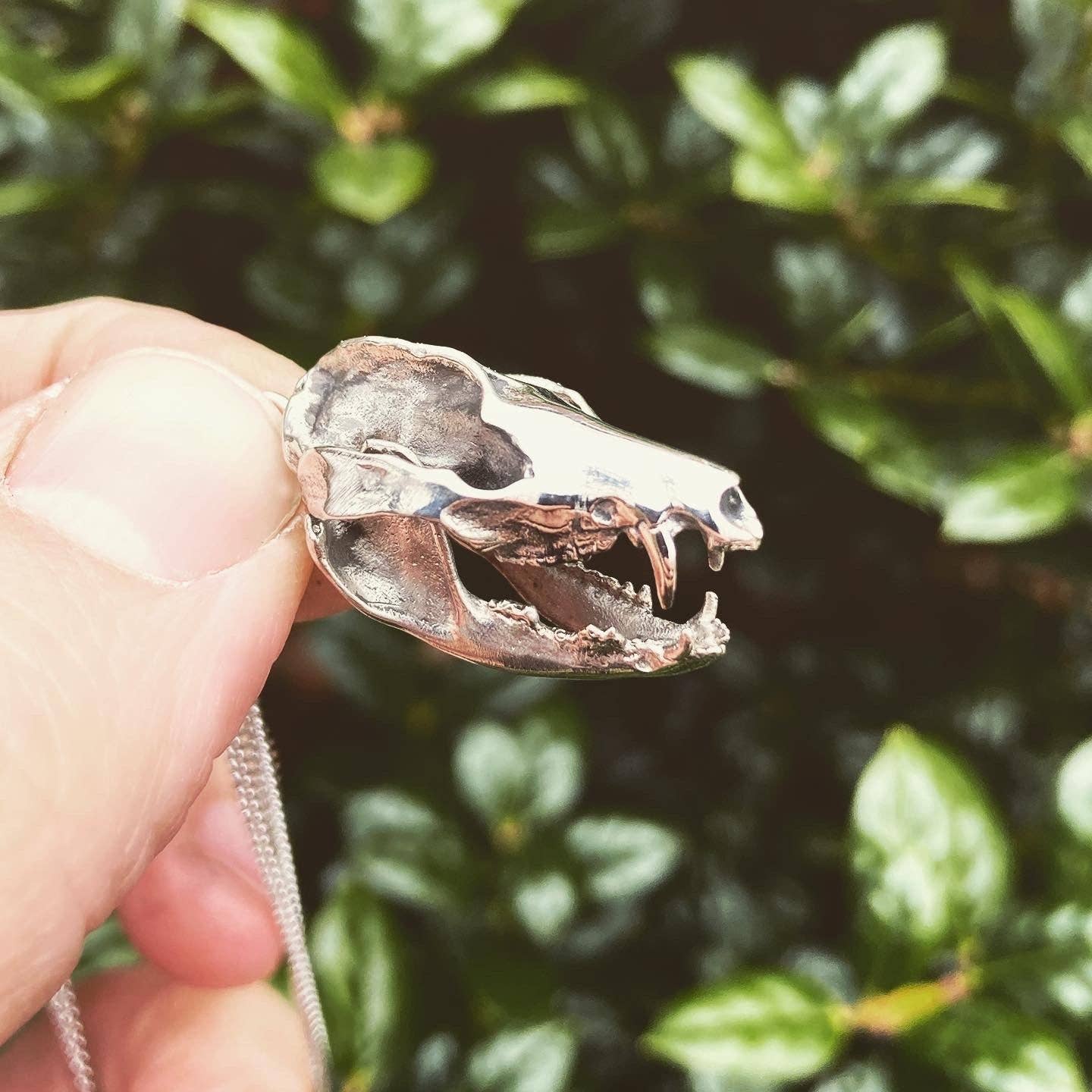 Opossum: None / White Bronze