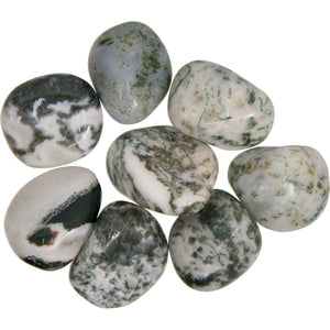 Tumbled Stones Tree Agate