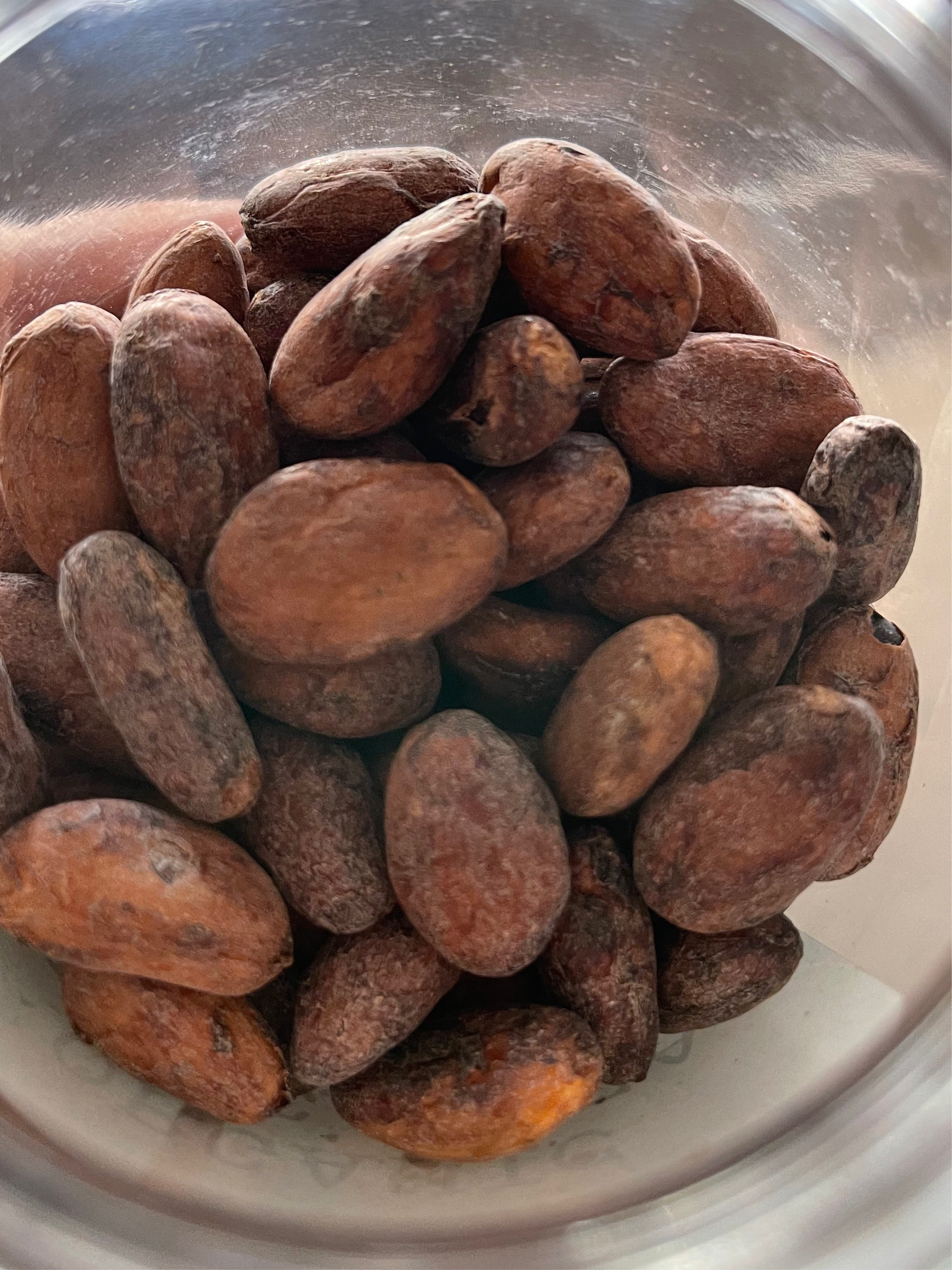 Cacao Beans