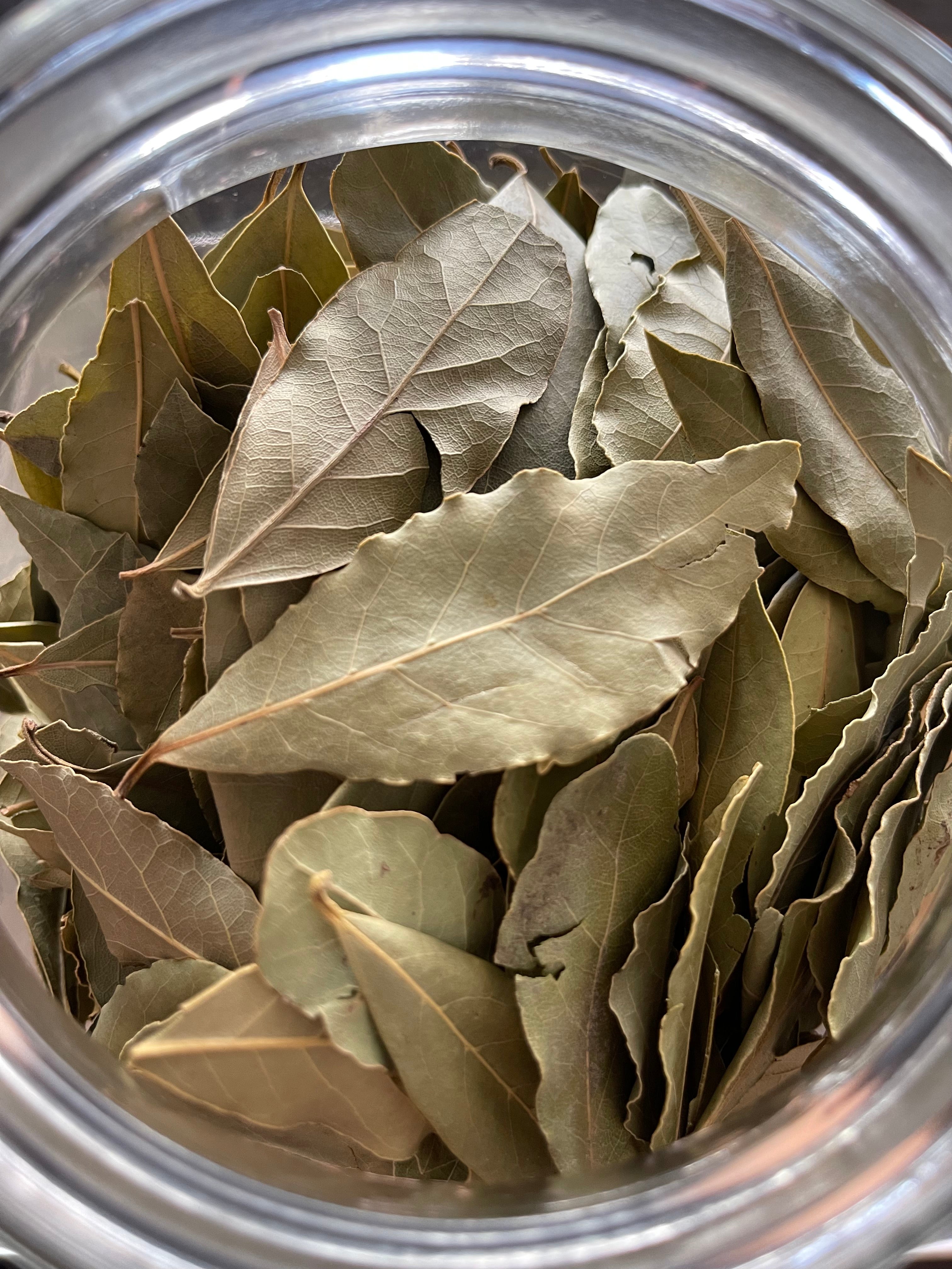 Bay Leaf